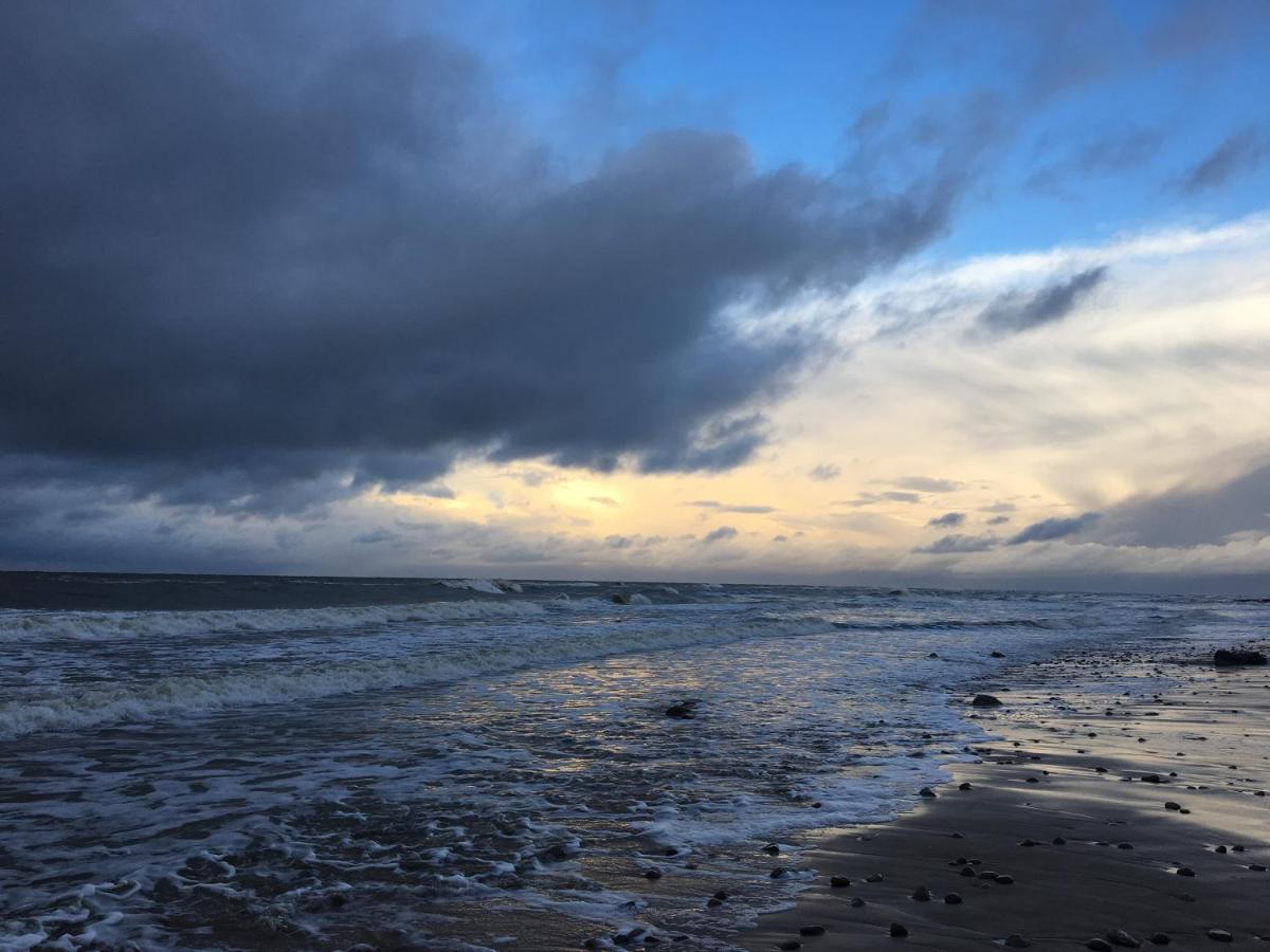 Dzikie Gaski Exteriér fotografie